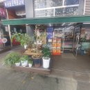 세븐일레븐 인천서창현대점 이미지