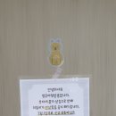 멍루아 펫살롱 이미지