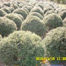 석전농장 이미지