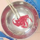 오색초등학교 이미지