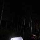 소나무캠핑 이미지