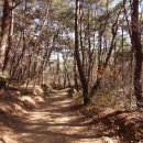 [산포로기행 명산산행 경북 대구광역시 동구 용수동 수태골휴게소-서봉-팔공산 비로봉-동봉-염불봉-병풍바위-조암-원암-동화사-동화사주차장]13년 11월 23일 이미지