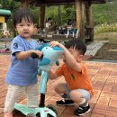 2025 광주 어린이 상상극장 <나무의 아이> | 어린이날 선물 마이크로킥보드 추천 - 미니투고 → 맥시T 폴더블 4년 사용 후기 (광주 남매 아빠)