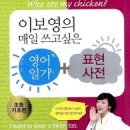 켈리영어