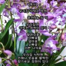 우리집식탁 이미지