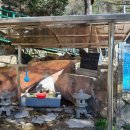 시민약수터 이미지