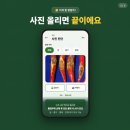 닥터88스토어 | 고추 이상한데 뭔 병인지 모르겠다면 — 사진 1장으로 AI가 진단해주는 앱, 팜닥터