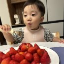 태성참딸기농원 이미지
