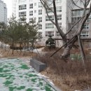 강남-113 이미지