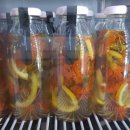 산삼본가 이미지