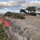 해안사구 이미지