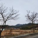 창포선 주차장 이미지