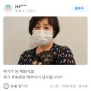 큐티댕냥 하남 본점 강아지 고양이 분양 이미지