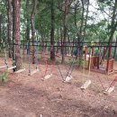 금촌유아숲체험원 이미지