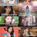 장원영 ETF 광고라는 짐빔 오피셜 새 광고 영상 ㅋㅋㅋㅋㅋㅋㅋㅋ 이미지