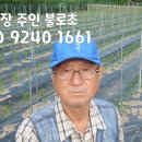 웃말농장 이미지