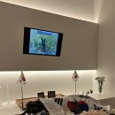 전남반려동물장례식장푸른솔 이미지