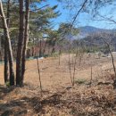 학하농장 이미지