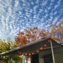 큐브존 캠핑장 이미지