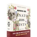 솔터 이미지