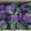 삼미농장 이미지