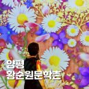 황순원문학촌 소나기마을 | 양평 가볼만한곳 황순원문학촌 소나기마을 디지털 영상체험관 입장료 주차 후기