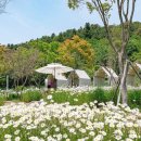 목우촌마을 파주광탄점 | 파주 광탄 🌼데이지 카페 🌼 필무드 베이커리