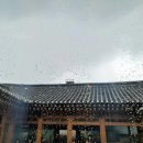 일세정한의원 이미지