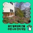 신현원창동 행정복지센터 앞 펜스 | 용인 벌목업체 건물 주변 나무 전지 작업