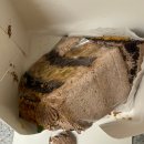 몽데이 | 마포 대흥동 디저트 카페, 대흥역 두바이초코 쿠키 구움과자 맛집 : 몽디저트