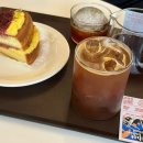 신창동물병원 | 2월 마지막 주말 일상