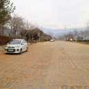 하천섬(솔밭) 이미지