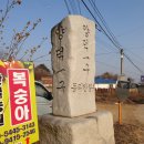양덕1리(동리) 이미지