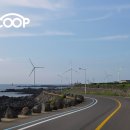 제주도집 민박 이미지