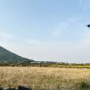 종달구경 이미지