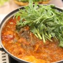 천지 애견 네이버블로그