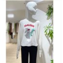 쥬크 이미지
