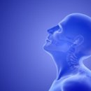 연세백퍼센트병원 이미지