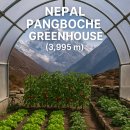 고원농장 이미지