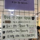 호수로 간 고양이 이미지