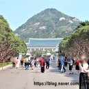 천록촬영 | 청와대 사전 예약, 관람 후기