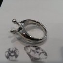 반지로-2 이미지