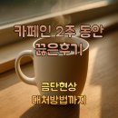 금단 | 카페인 2주 끊기 성공 후기: 금단증상 없이 버티는 5가지 방법