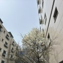 시골영양탕 | 서울 몸보신 맛집 시골집영양탕삼계탕 방문 후기