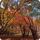 (주)유명한여행사 이미지