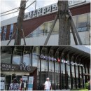 HallSon의 우한바이러스 탈출기 -30- 《여행》 🏯강릉, 울릉도, 독도 3박4일(21.6.21~6.24) 여행기 -1信...