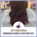 미란헤어 네이버블로그