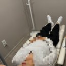 뮤즈의원 이미지