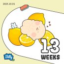 건강요가(강좌번호 : 13 ) | 임신 13주~17주 기록 | 두통은 언제 끝나요? 제주도 여행, 신경관 결손 검사, 입덧, 요가 시작