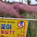장성마실 이미지